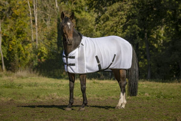 EQUITHEME - CHEMISE SECHANTE 3D MESH