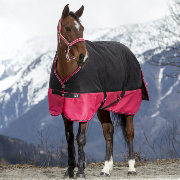 EQUITHEME - COUVERTURE 1200D 300g NOIR / FRAMBOISE