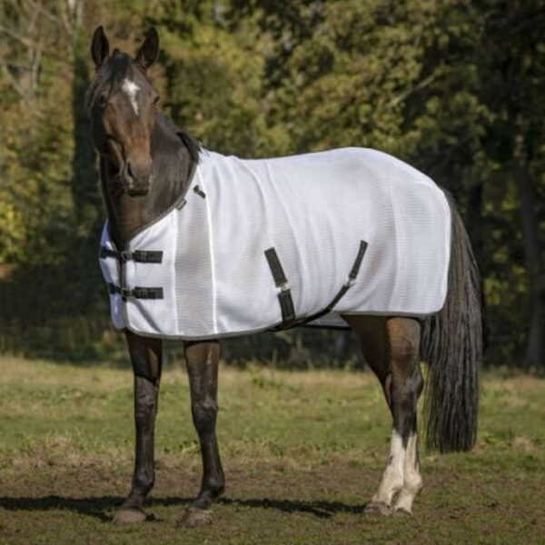 EQUITHEME - CHEMISE SECHANTE 3D MESH