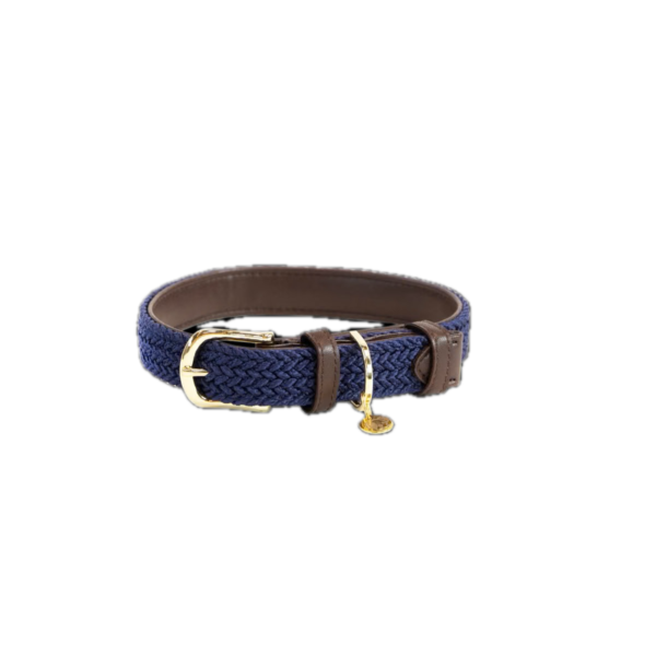 KENTUCKY - COLLIER POUR CHIEN NYLON TRESSE
