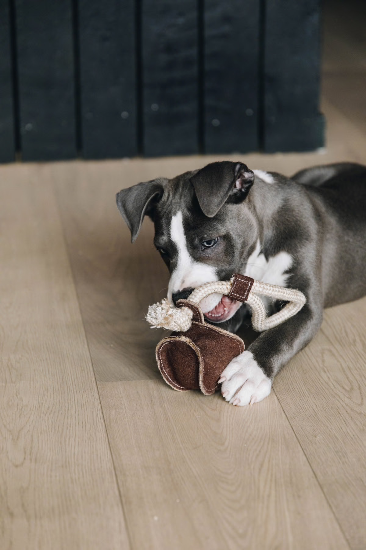 63d0bf8c8ea5a-0214968e7eac2d3ab47c2b6bca131709f11ff66b_52408_05_101