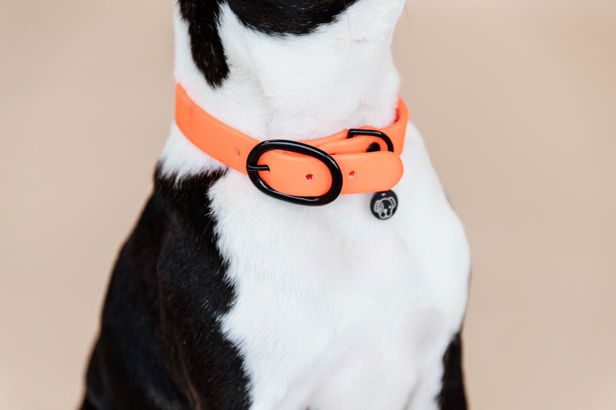 6476dd2561adc-a7211f04fabef00abc31afa703d98c63dabbbf52_179A0405