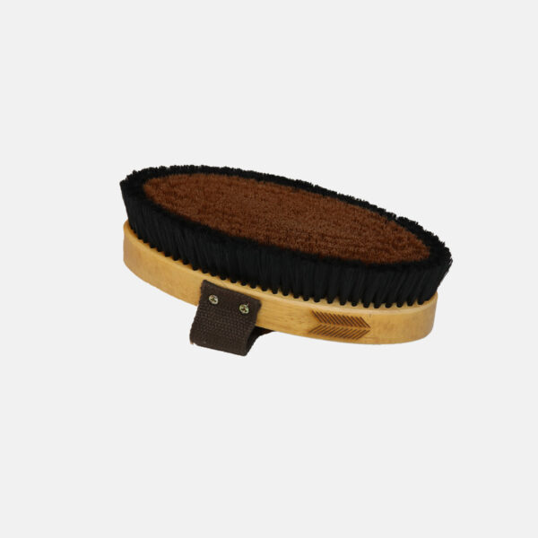 KENTUCKY - BROSSE À POILS DURS