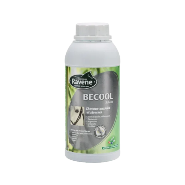 RAVENE - BECOOL SOLUTION 500ml