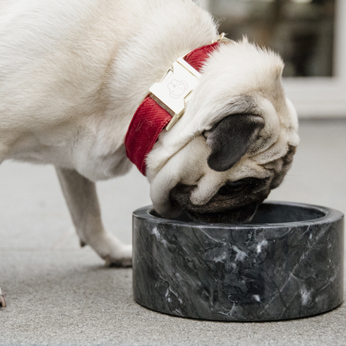 S7JmwvoV5feIMUAKXd5f33l5NglFR6-metaS2VudHVja3ktTWFybWVyZW4tQmFrLVp3YXJ0LTIuanBn-