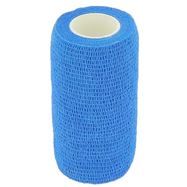 HIPPOTONIC - BANDAGE FLEX WRAP BLEU ROI