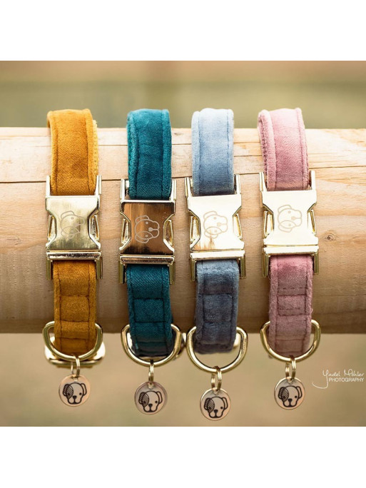 collier-velvet-kentucky