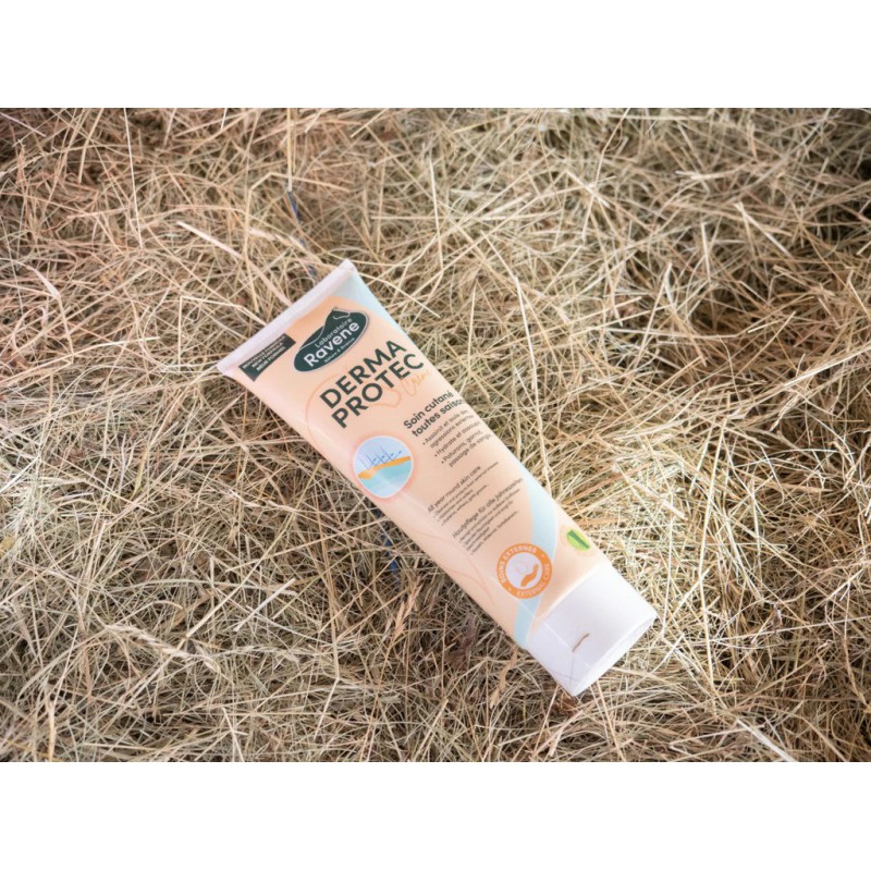 dermaprotec-ravene-2