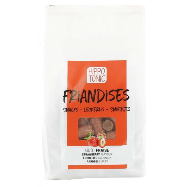 HIPPOTONIC - BONBONS FRAISE 1KG
