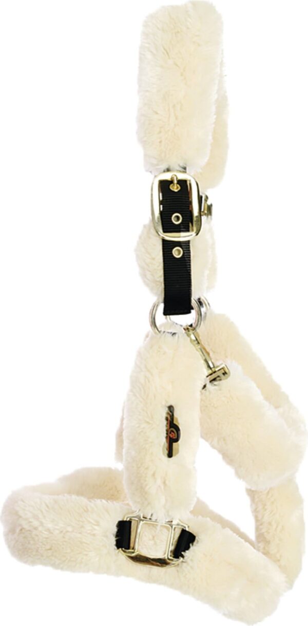 KENTUCKY - LICOL DE TRANSPORT MOUTON