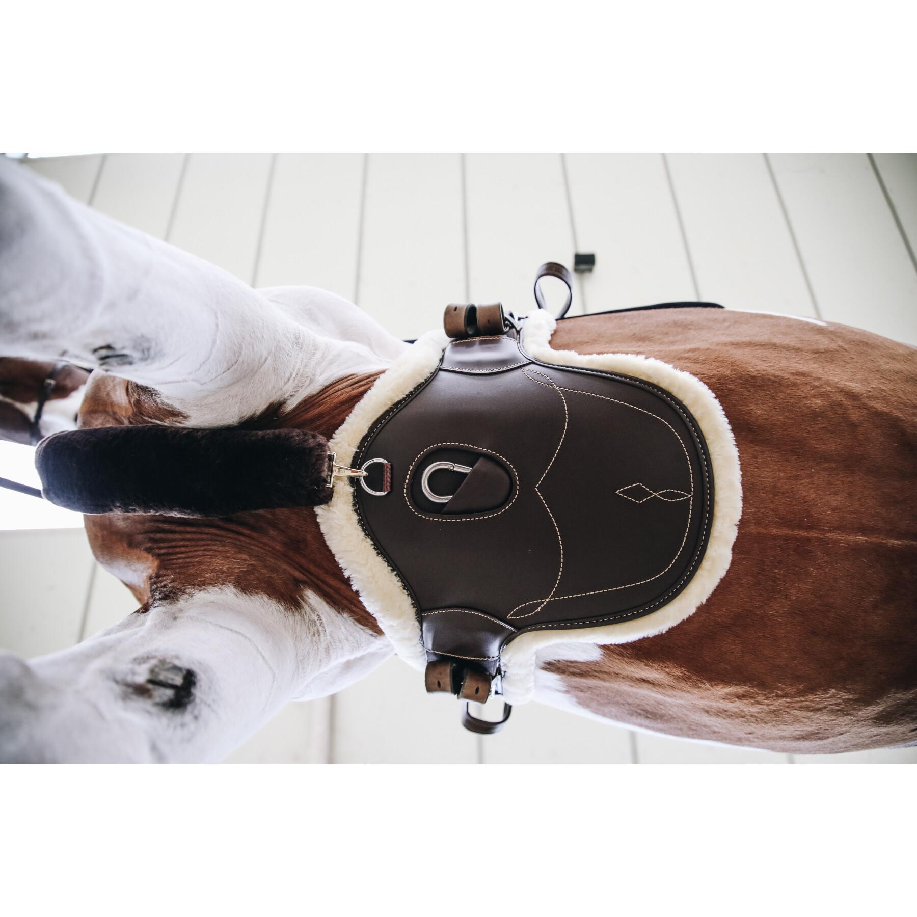 kentucky_42410-05-55_3