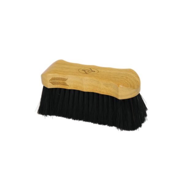 KENTUCKY - BROSSE À POILS DURS