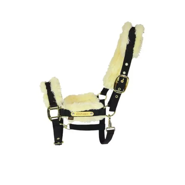 KENTUCKY - LICOL EN NYLON MOUTON