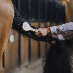 Brosses à Crins