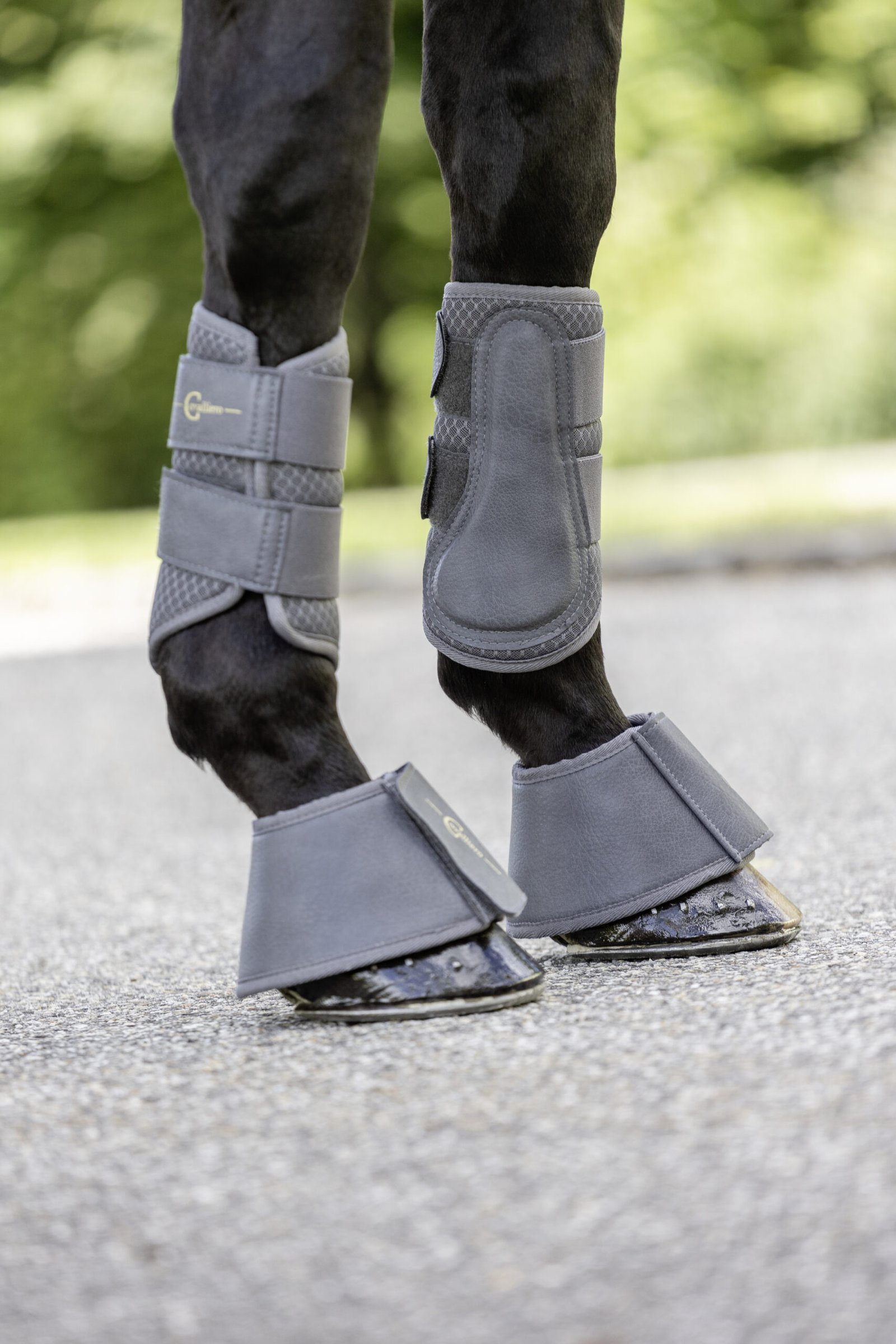 Guêtres Covalliero Anniversary Graphite 2025 - Protection Anatomique Pour Chevaux, Lavables En Machine