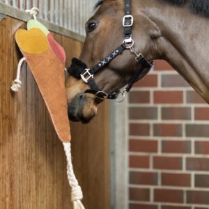 Jouets pour Chevaux