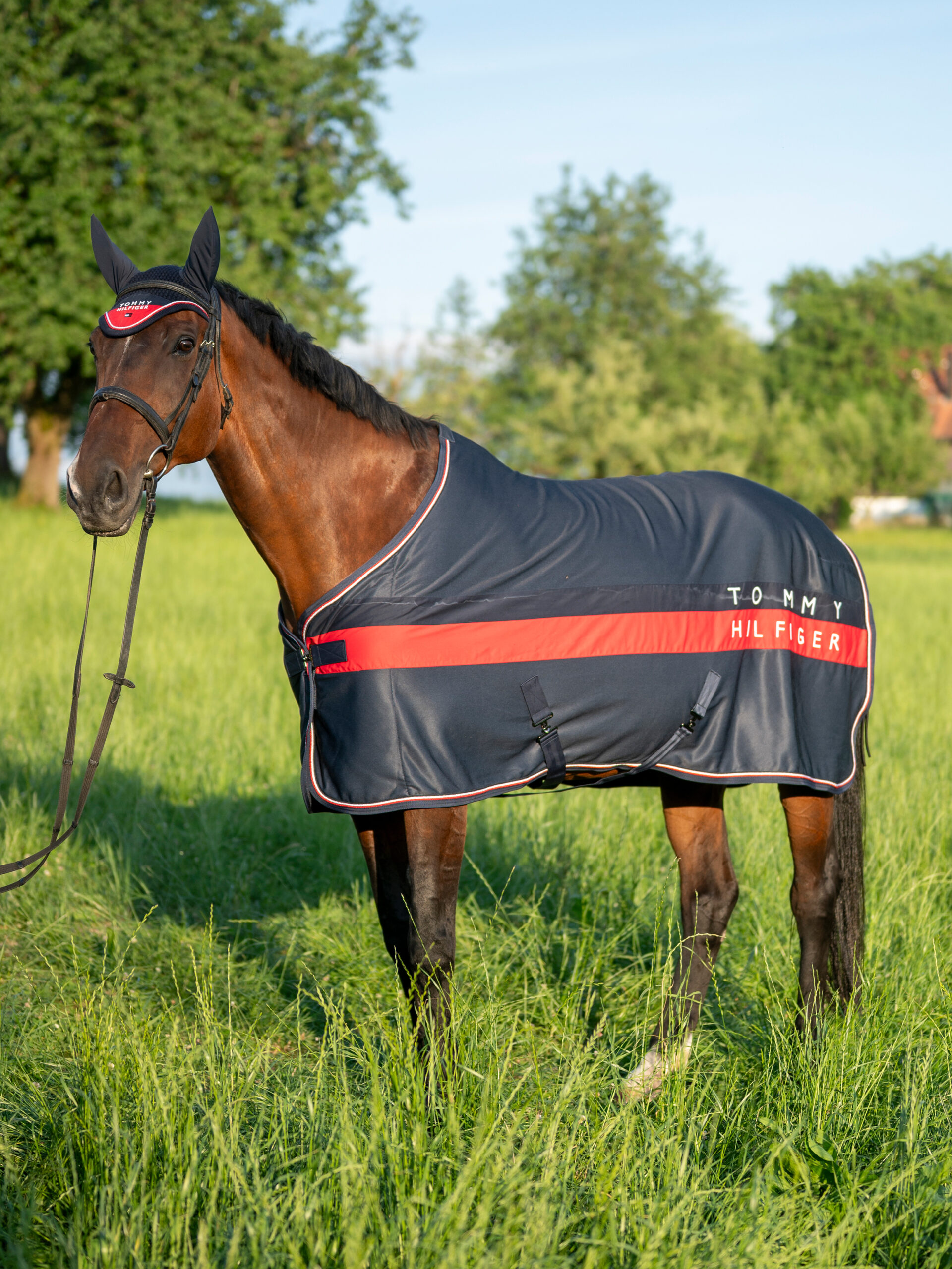 TH13HRUG750-004_3.jpg_master