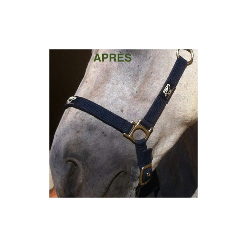 creme-cicatrisante-animaderm-cutene-3