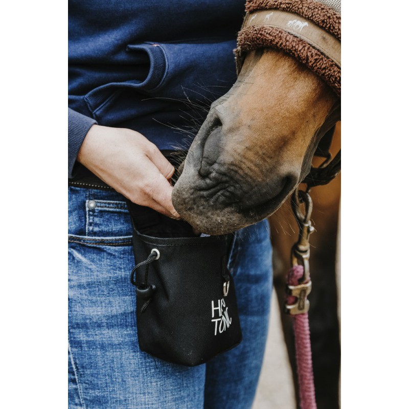 petite-poche-a-recompenses-hippotonic-3