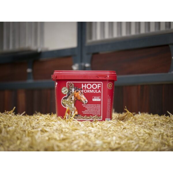 KEVIN BACON'S - COMPLÉMENT "HOOF FORMULA"