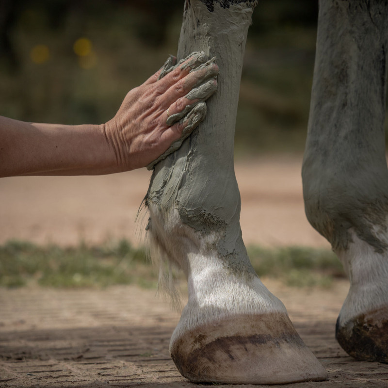 cataplasme-d-argile-drainage-detox-2