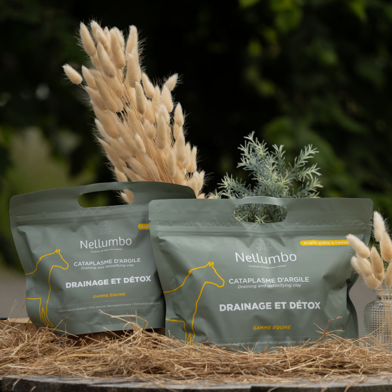 cataplasme-d-argile-drainage-detox