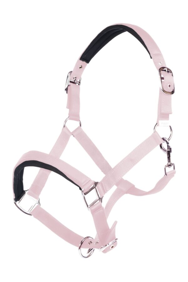 HKM - LICOL CATHERINE ROSE