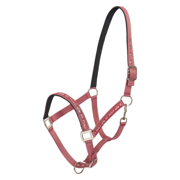 HV POLO - LICOL NENA BLUSH