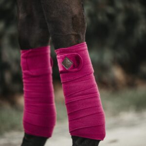 Bandes de Polo