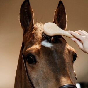 Brosses à Crins