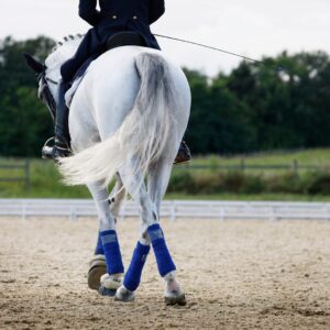 Sticks de Dressage