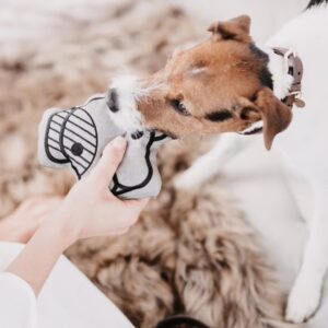 Jouets