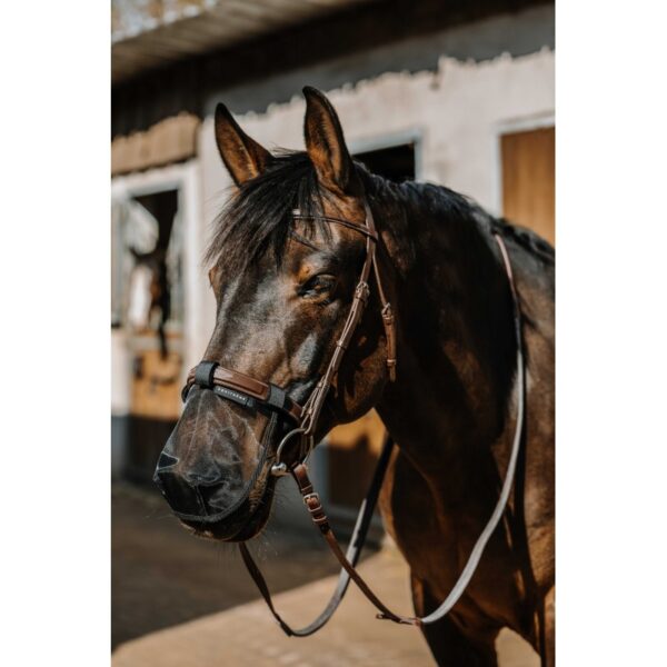 EQUITHEME - PROTECTION NEZ