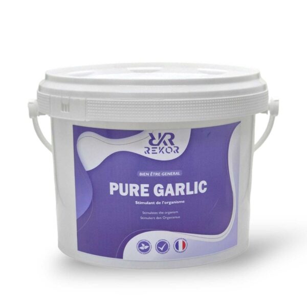 REKOR - PURE GARLIC