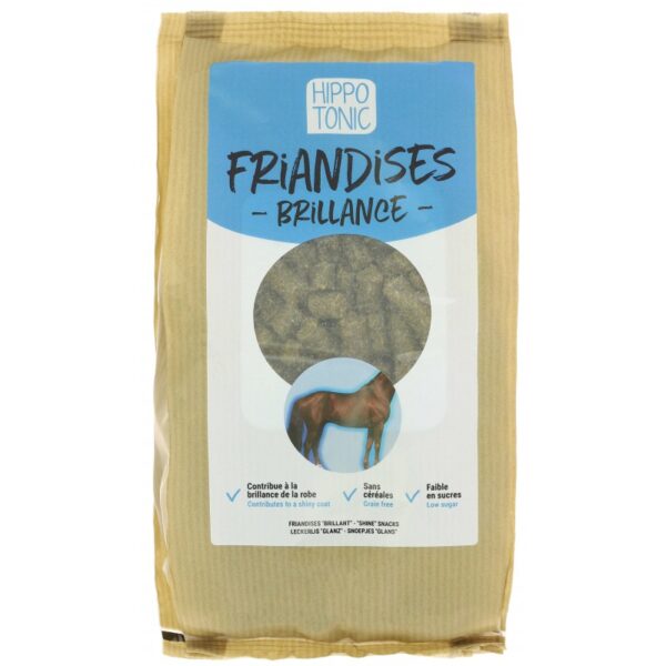HIPPOTONIC - FRIANDISES BRILLANCE