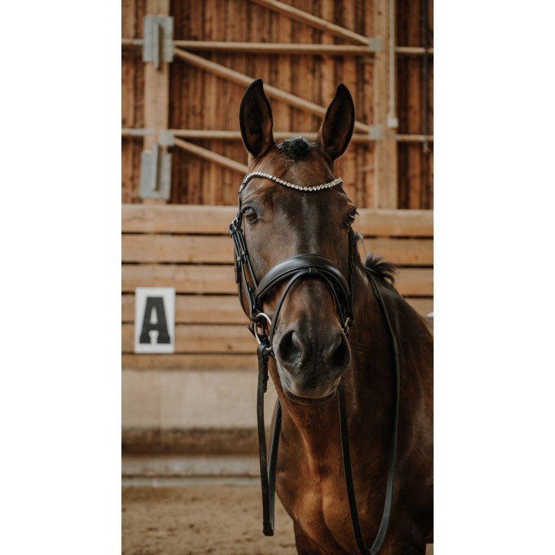 NORTON - Bridon DIAMS – Image 2