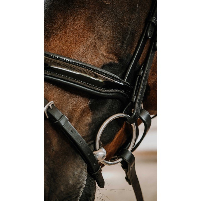 NORTON - Bridon ROYAL – Image 4