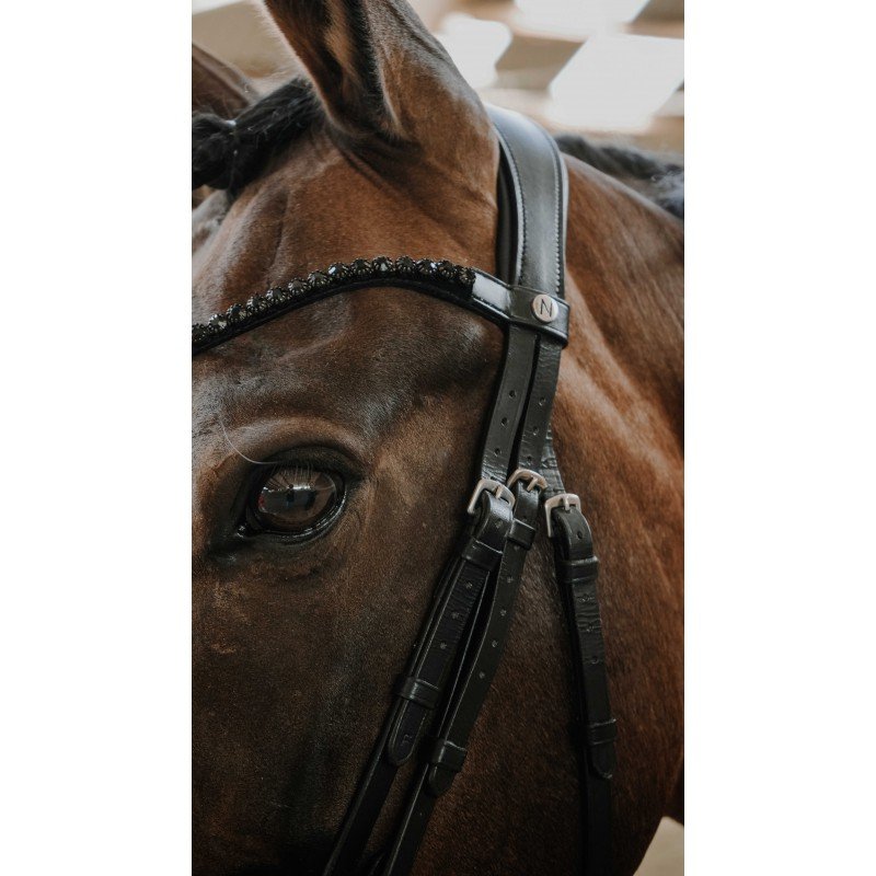 NORTON - Bridon ROYAL – Image 3