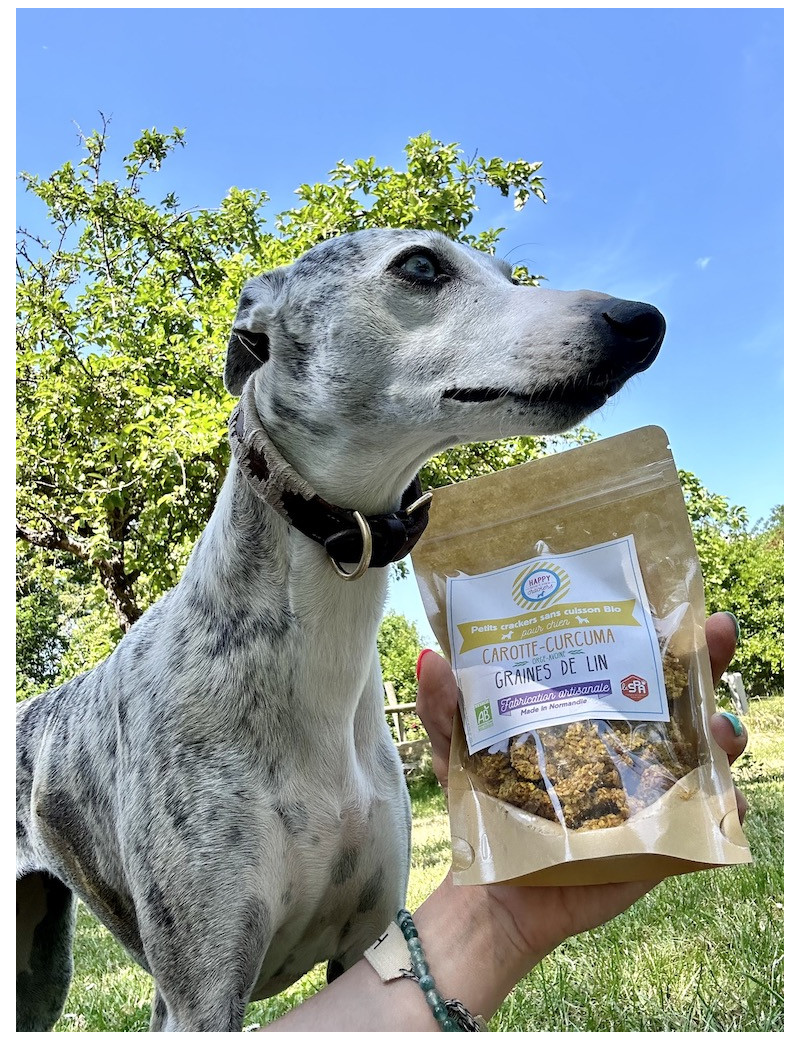 crackers-cheval-carottes-curcuma-300-gr-2