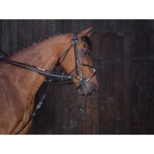 RIDING WORLD - Rênes de Gogues Cuir Noir