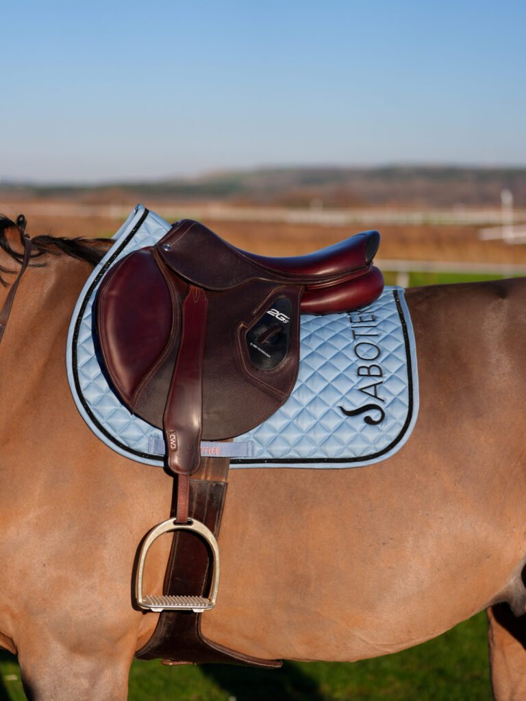 LE SABOTIER - Tapis IGOR Bleu Glacier