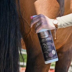 RAVENE - EasyShine Édition Limitée 20 ans