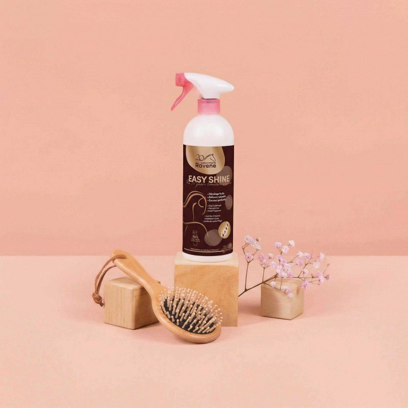 RAVENE - EasyShine Édition Limitée 20 ans