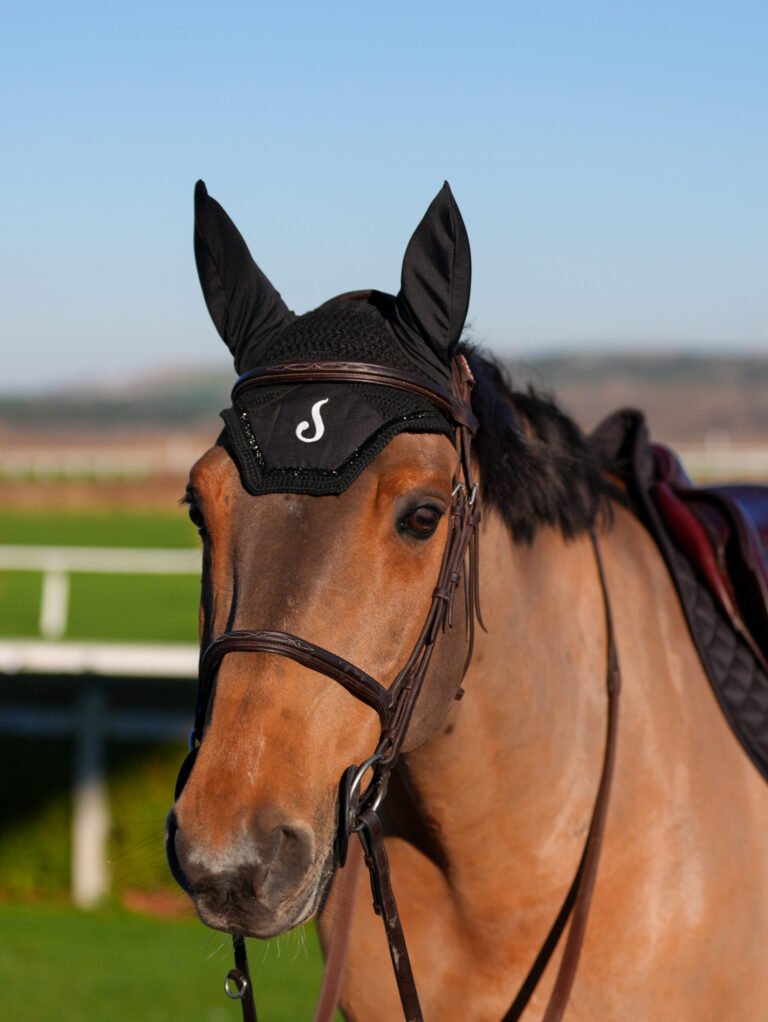 LE SABOTIER - Bonnet Noir