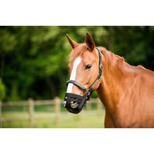 NORTON - Panier Muselière