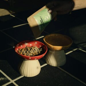 NUTRAGILE - Argile Alimentaire +