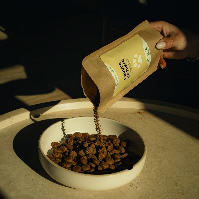 NUTRAGILE - Levure de Bière