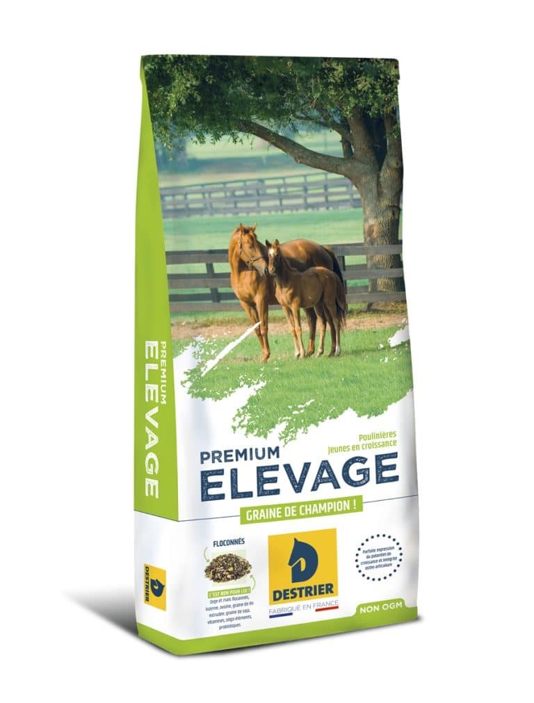 DESTRIER - PREMIUM ELEVAGE