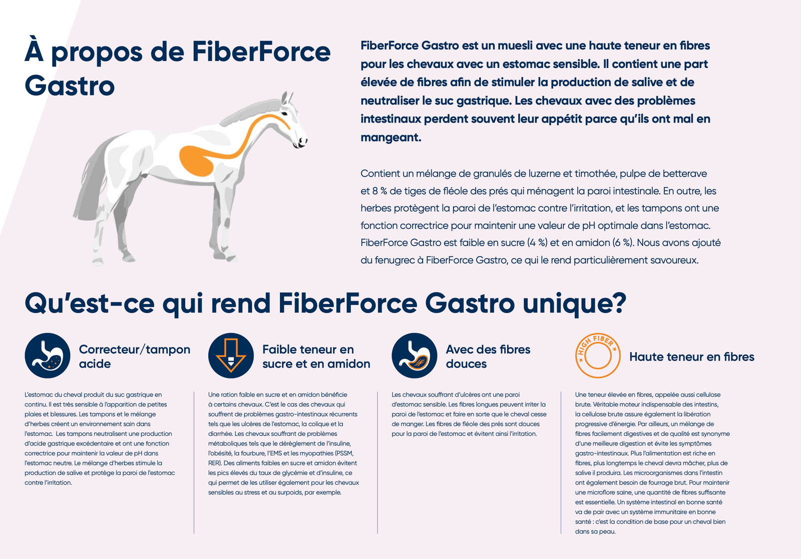 CAVALOR - FIBERFORE GASTRO – Image 3