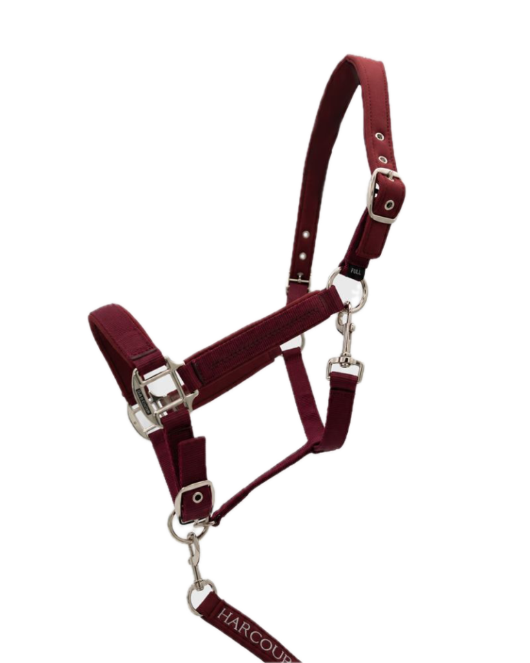 HARCOUR - Licol + Longe CINSY Vigne
